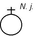 
 Nils  Jakobsson -(..1627)